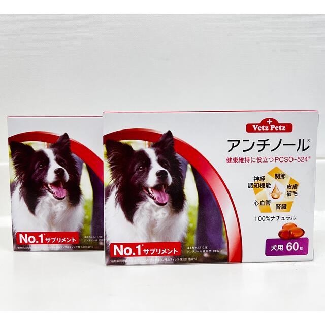 アンチノール 60カプセル×2 - 犬