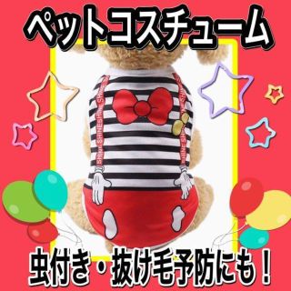 通気性メッシュ小中型犬服Ｔシャツ スポーツ服 お散歩お出かけウェアに 春夏服(犬)