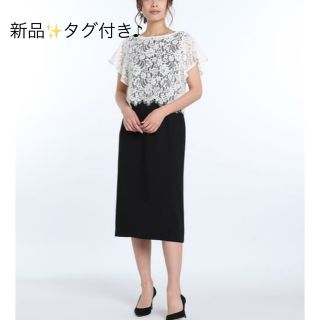 新品✨タグ付き♪定価19,800円　レースブラウス&ワンピース　大特価‼️(その他)