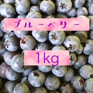 ブルーベリー　1kg   無農薬(フルーツ)