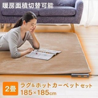 新品★TEKNOS ラグ付き 2畳用電気カーペット/BE(ホットカーペット)