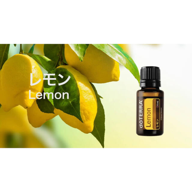 doTERRA 精油 レモン 5ml ミネラルオイル 30ml プレゼント付 ドテラ オイル レモン 5ml