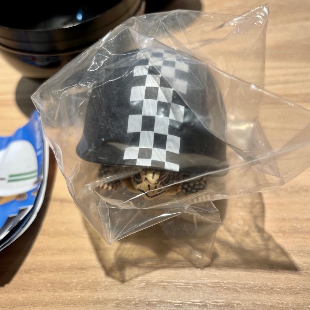 ヘルメット カメ 2　チェッカー エンタメ/ホビーのおもちゃ/ぬいぐるみ(その他)の商品写真
