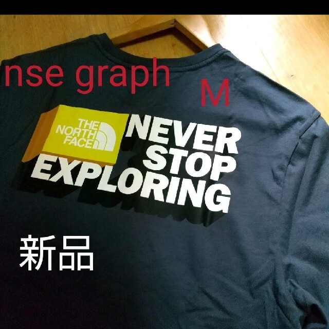 THE NORTH FACE(ザノースフェイス)のTNF nse graph tee メンズのトップス(Tシャツ/カットソー(半袖/袖なし))の商品写真