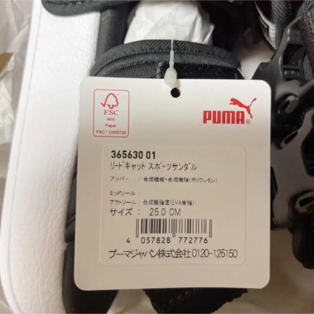 PUMA(プーマ)のPUMA プーマ　スポーツサンダル　リードキャット　黒　25 新品タグ付 レディースの靴/シューズ(サンダル)の商品写真