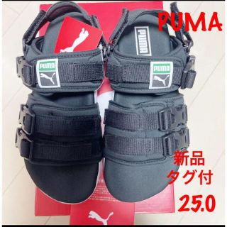 プーマ(PUMA)のPUMA プーマ　スポーツサンダル　リードキャット　黒　25 新品タグ付(サンダル)