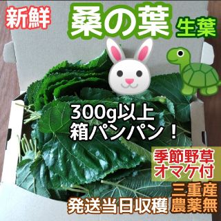 子供 ペット 除草剤の通販 17点 フリマアプリ ラクマ