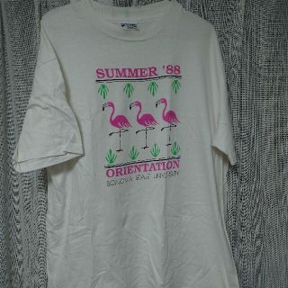 ８０ｓ　フラミンゴ　Tシャツ(Tシャツ/カットソー(半袖/袖なし))