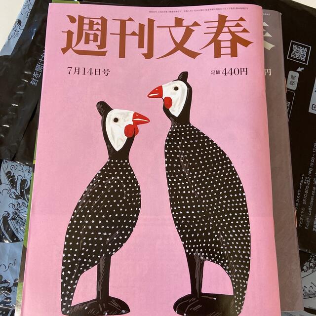 週刊文春 2022年 7/21号　3冊おまとめ発送 エンタメ/ホビーの雑誌(ビジネス/経済/投資)の商品写真