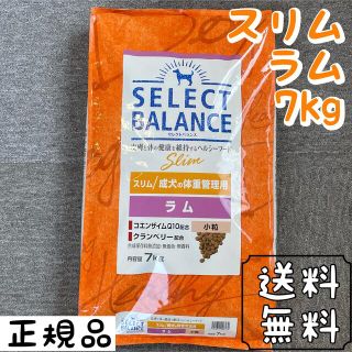 セレクト(SELECT)のセレクトバランス ラム 小粒 7kg スリム ドックフード  ペットフード(ペットフード)