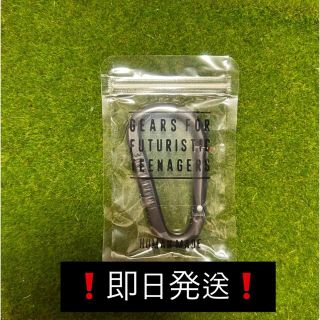 ヒューマンメイド(HUMAN MADE)の❗️即完売商品❗️human made ヒューマンメード　カラビナ(キーホルダー)