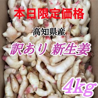 訳あり新生姜4kg(野菜)