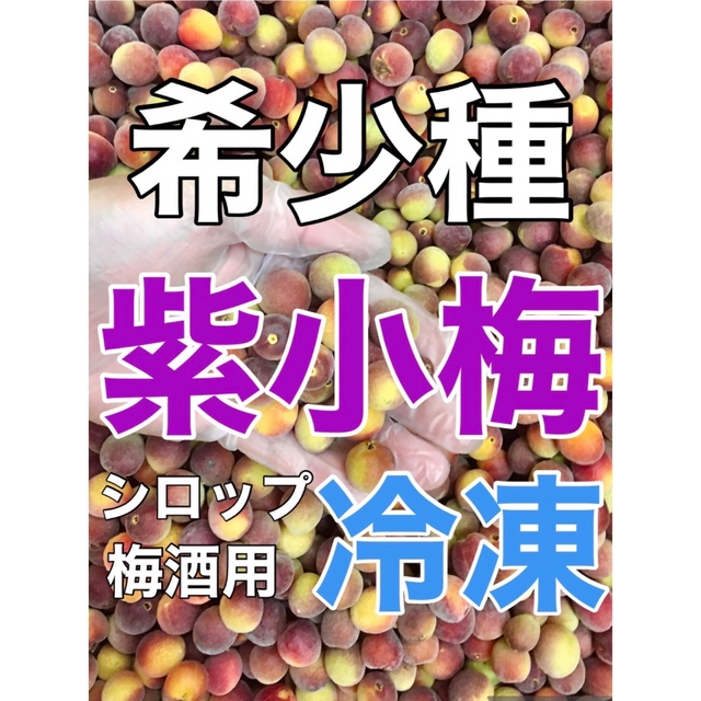 r010⚠️クール便「冷凍紫小梅」1kg 梅酒 シロップ用 キルトパッチ店 青梅 食品/飲料/酒の食品(フルーツ)の商品写真