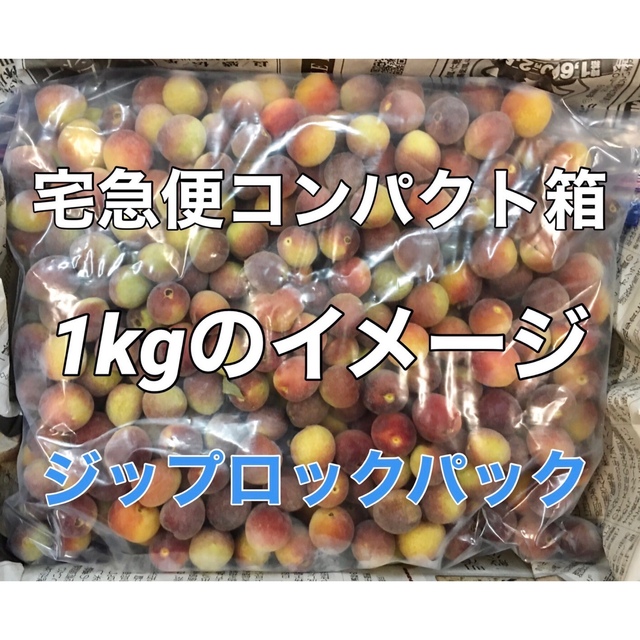 r010⚠️クール便「冷凍紫小梅」1kg 梅酒 シロップ用 キルトパッチ店 青梅 食品/飲料/酒の食品(フルーツ)の商品写真