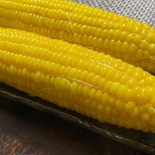 訳あり★生でも食べられるフルーツとうもろこし10本(野菜)