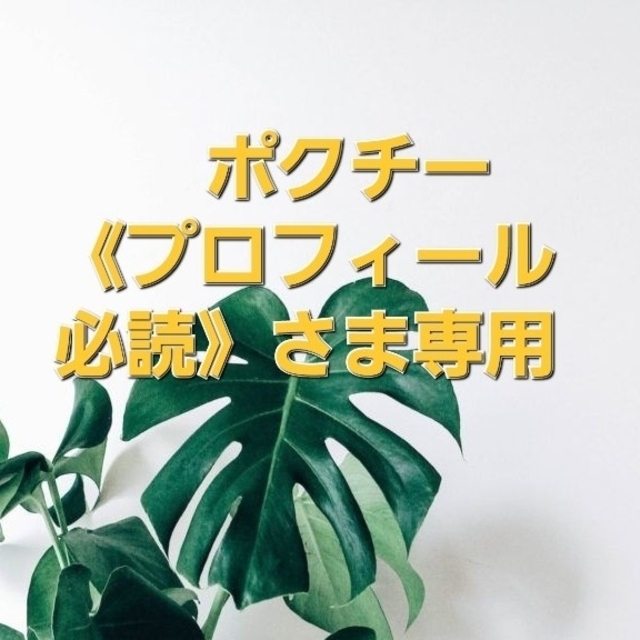 ポクチー《プロフィール必読》さま専用 rabitoclinic.com