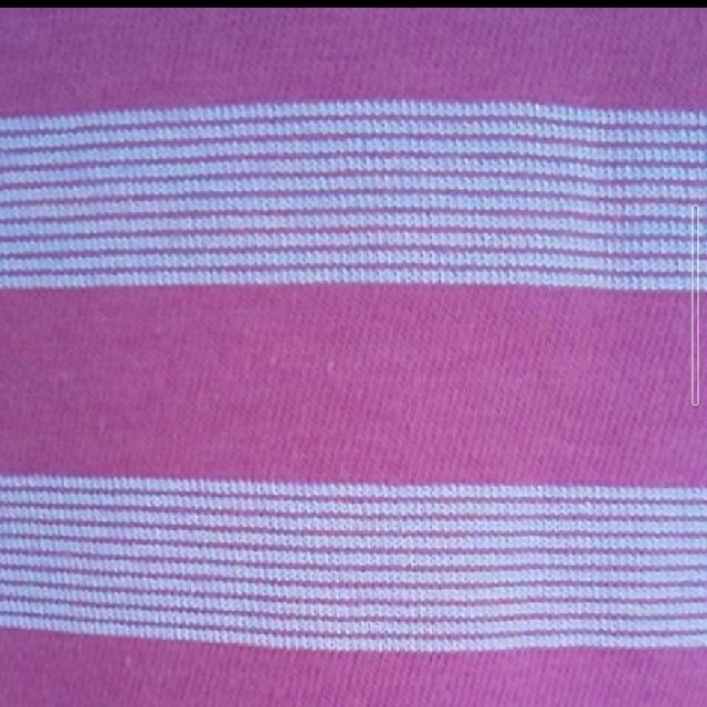ベルメゾン(ベルメゾン)のTシャツ　半袖　ベルメゾン　レディース レディースのトップス(Tシャツ(半袖/袖なし))の商品写真