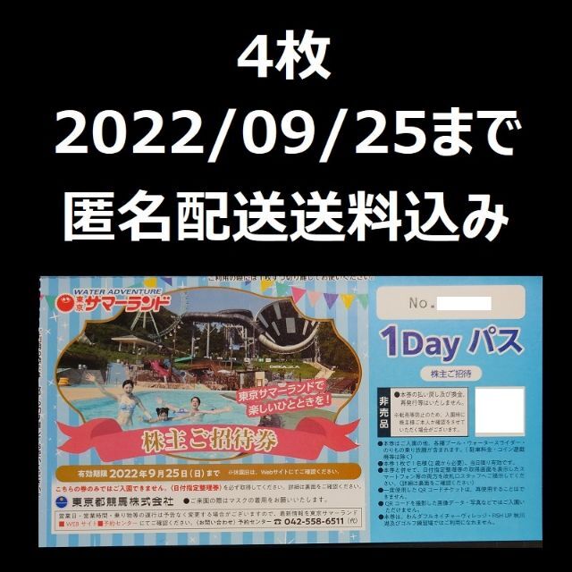 東京都競馬 株主優待 東京サマーランド 1Dayパス 4枚 - その他