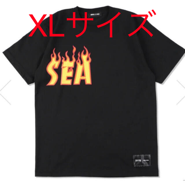 THRASHER MAGAZINE X WDS (FLAME) S/S TEE