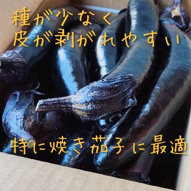 庄屋大長❗3kg（しょうやおおなが）種が少ない✨皮がつるっと剥がれる✨焼きナスに 食品/飲料/酒の食品(野菜)の商品写真