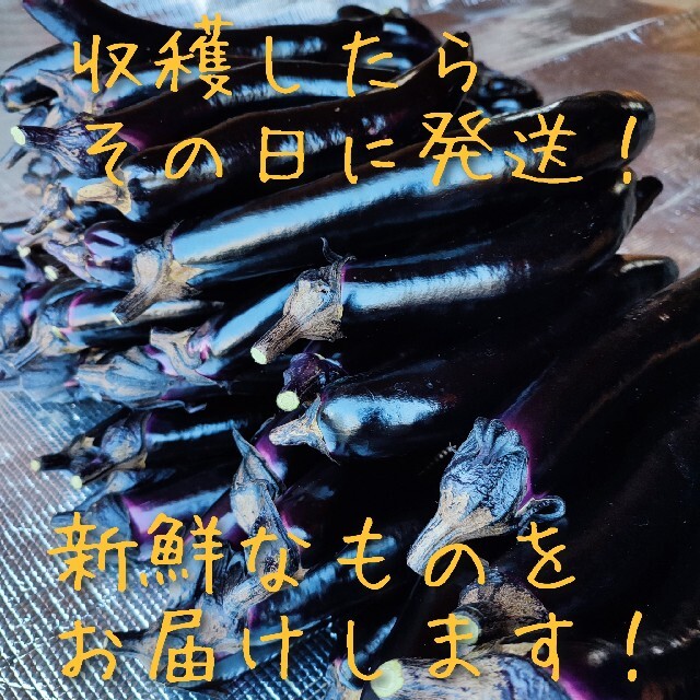 庄屋大長❗3kg（しょうやおおなが）種が少ない✨皮がつるっと剥がれる✨焼きナスに 食品/飲料/酒の食品(野菜)の商品写真
