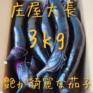 庄屋大長❗3kg（しょうやおおなが）種が少ない✨皮がつるっと剥がれる✨焼きナスに(野菜)