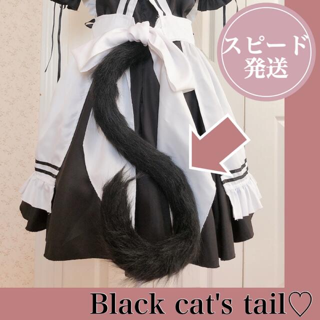 ネコ　しっぽ　黒猫　黒　ブラック　コスプレ　メイド服　リアル　本物