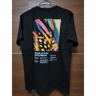 グラニフ(Design Tshirts Store graniph)のgraniph　グラニフ　Tシャツ(Tシャツ/カットソー(半袖/袖なし))