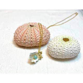 ✩ sale✩Necklace/ シェルとスターフィッシュ　ネックレス(ネックレス)