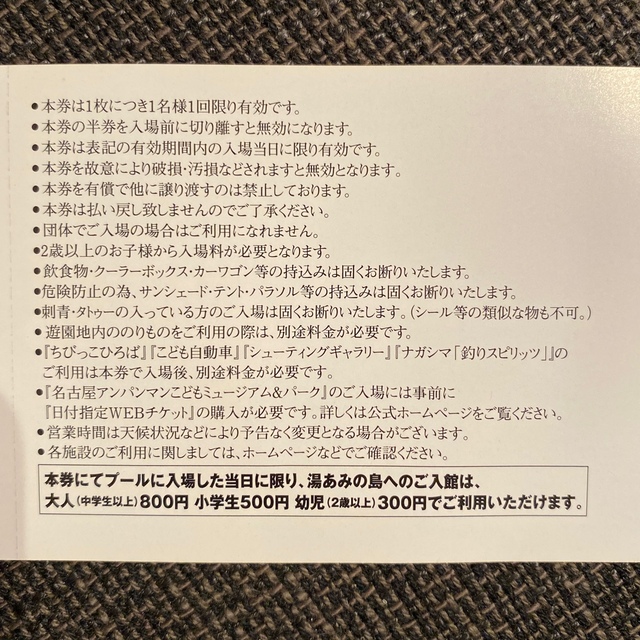 ナガシマスパーランド　ジャンボ海水プール入場券　大人・小学生各2枚　計4枚 チケットの施設利用券(プール)の商品写真