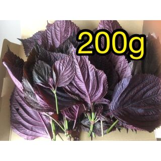 赤紫蘇　無農薬　200g(野菜)