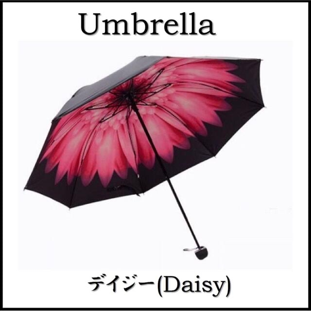 ☆UVカット☆晴雨兼用☆軽量☆コンパクト☆折り畳み傘 デイジー(Daisy)  レディースのファッション小物(傘)の商品写真