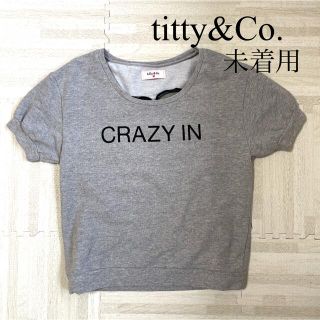 ティティアンドコー(titty&co)のレディース　半袖トップス　夏　titty&Co.  シースルー(カットソー(半袖/袖なし))