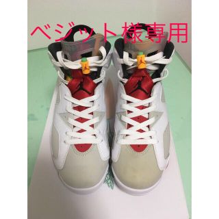 ナイキ(NIKE)のエアジョーダン6 ヘアー　ニュートラルグレー(スニーカー)