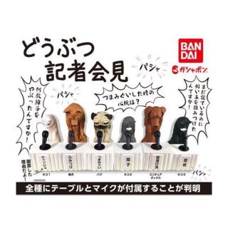 バンダイ(BANDAI)の動物記者会見 パグ (つまみぐい)ガチャポン(その他)