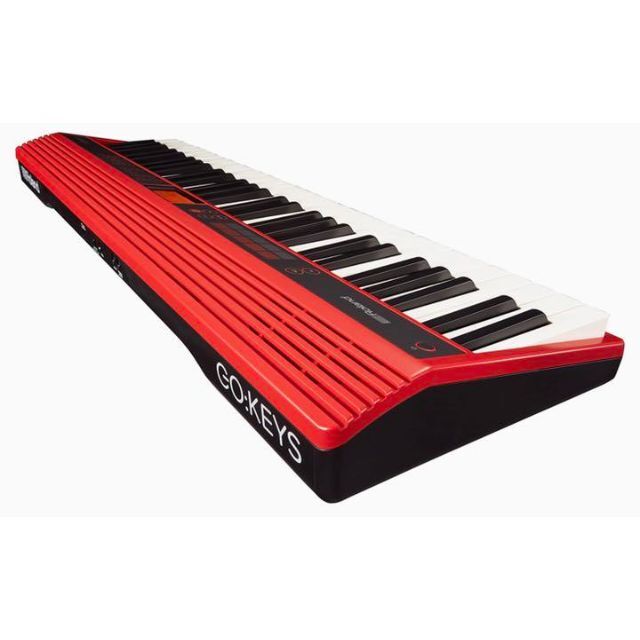 週末sale✨Roland GAIA SH-01 ソフトケース付
