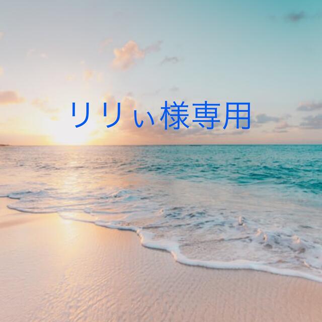 税込) リリぃ様専用 置物 - prosoft.com.do 税込) リリぃ様専用 置物 - prosoft.com.do