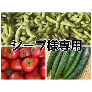 シープ様専用(野菜)