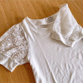 トッコ(tocco)のtocco トッコ　袖シアーTシャツ　オーガンジー　花柄　サマーニット(カットソー(半袖/袖なし))