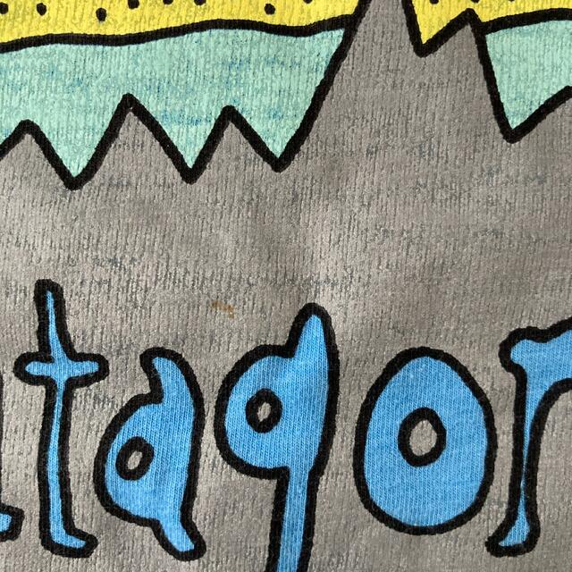 patagonia(パタゴニア)のパタゴニア キッズ Tシャツ　5T 水色 キッズ/ベビー/マタニティのキッズ服男の子用(90cm~)(Tシャツ/カットソー)の商品写真