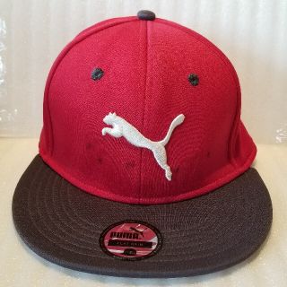 プーマ(PUMA)のPUMA　キャップ　サイズ56～58cm　グレーシャーグレー　未使用　CAPS(キャップ)