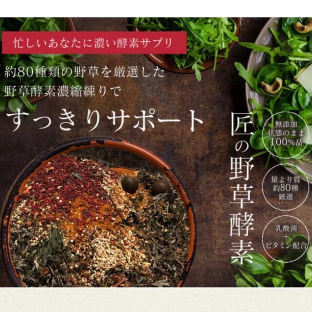 匠の野草酵素 野菜酵素 練酵素 ビタミン 乳酸菌  サプリメント 約3ヵ月分 食品/飲料/酒の健康食品(その他)の商品写真