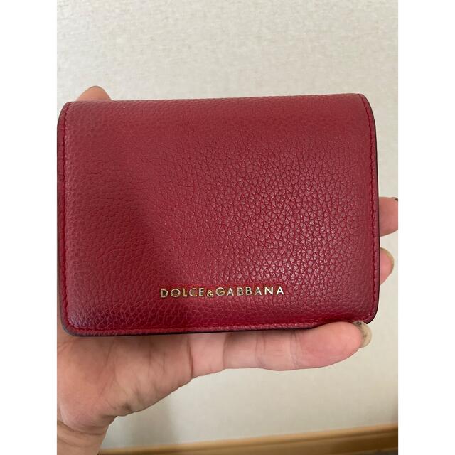 ドルガバ折り財布 赤 - 財布