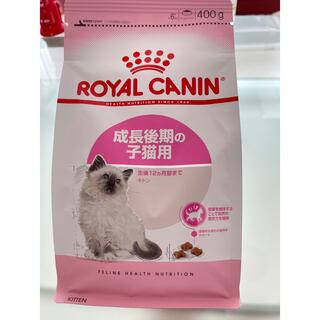 ロイヤルカナン(ROYAL CANIN)のロイヤルカナン  子猫 後期 400g+ 乳酸菌ミルクサプリ(猫)