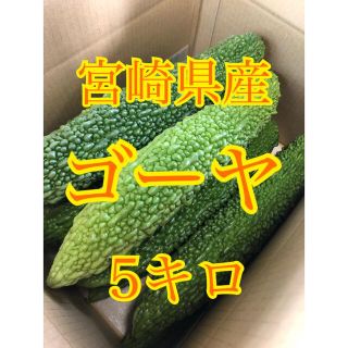 野菜　ゴーヤ　宮崎県産　(野菜)