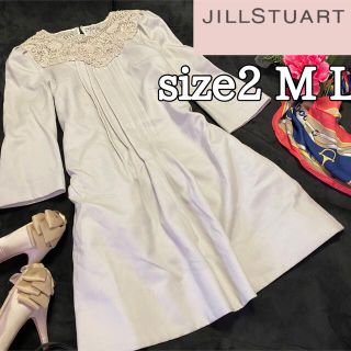 ジルスチュアート(JILLSTUART)の良質生地【JILLSTUART】上品フェイクカラープリーツタックワンピース(ひざ丈ワンピース)