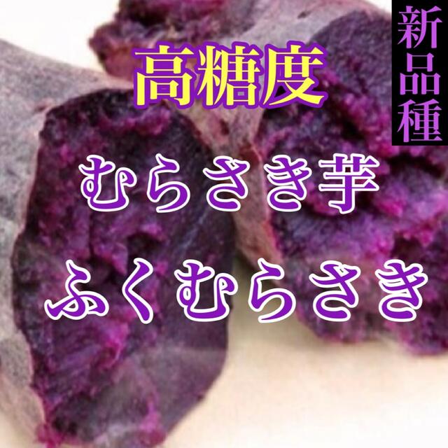 新品種‼️高糖度むらさき芋【ふくむらさき】箱込み1キロ超　送料無料 食品/飲料/酒の食品(野菜)の商品写真