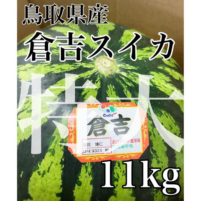 デカくてあまうまっ！！鳥取県産【倉吉スイカ】特大サイズ 1玉 11kg以上！！ 食品/飲料/酒の食品(フルーツ)の商品写真