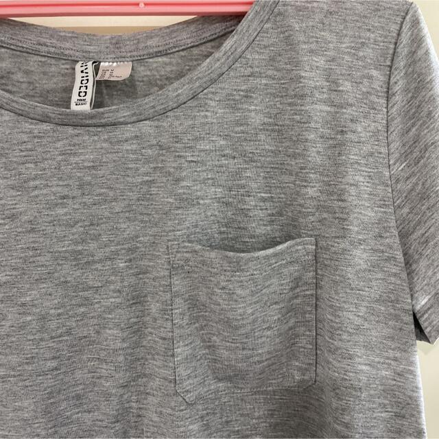 H&M(エイチアンドエム)の新品　未使用　H&M Tシャツ グレー レディースのトップス(Tシャツ(半袖/袖なし))の商品写真