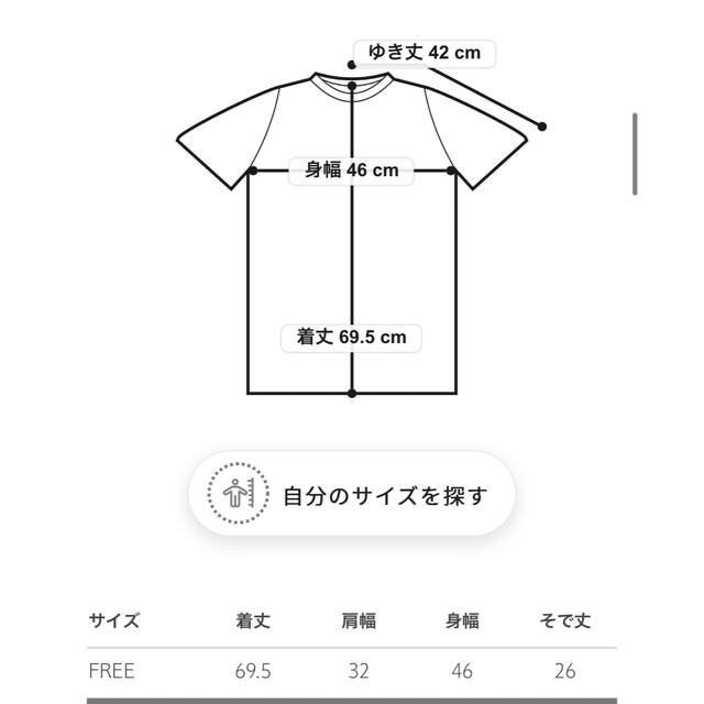 Drawer(ドゥロワー)のドゥロワー コットンレースクルーネック レディースのトップス(Tシャツ(半袖/袖なし))の商品写真